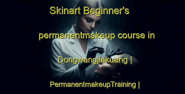 Skinart Beginner's permanentmakeup course in Dongwangjiakuang | PermanentmakeupTraining | PermanentmakeupClasses | SkinartTraining-China